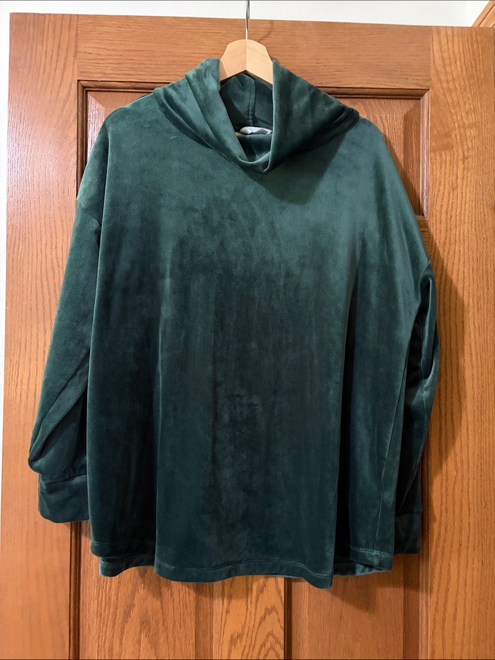 Time and tru Forest Green Plush Funnel Neck Top
